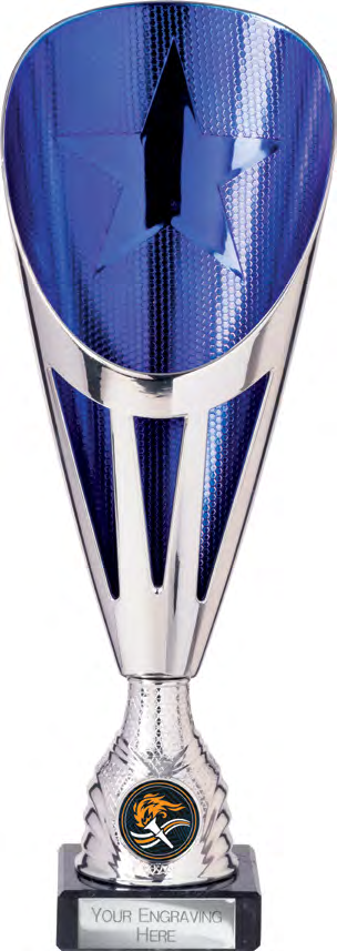 Award product – catalogue page 450