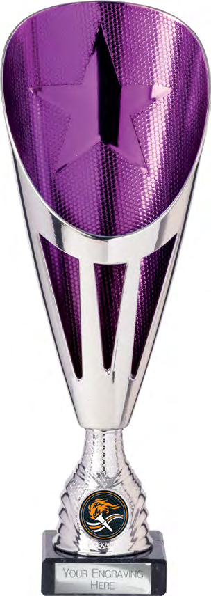 Award product – catalogue page 450