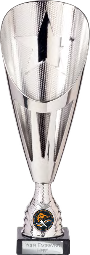 Award product – catalogue page 451