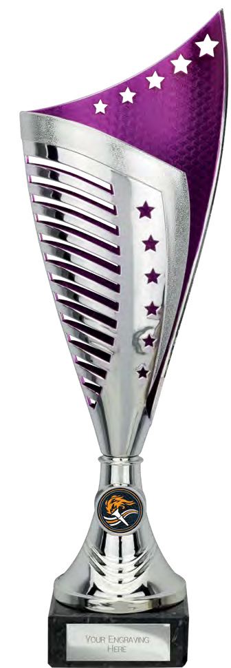 Award product – catalogue page 457