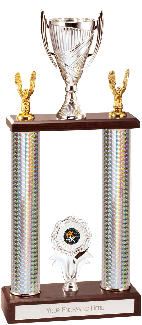 Award product – catalogue page 464