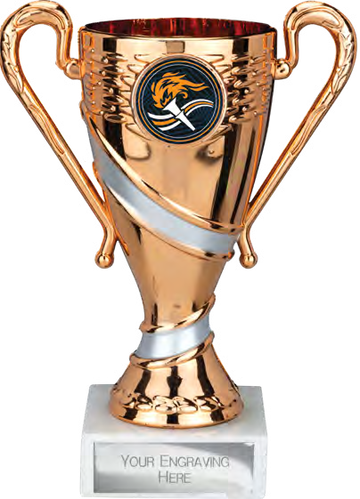 Award product – catalogue page 469