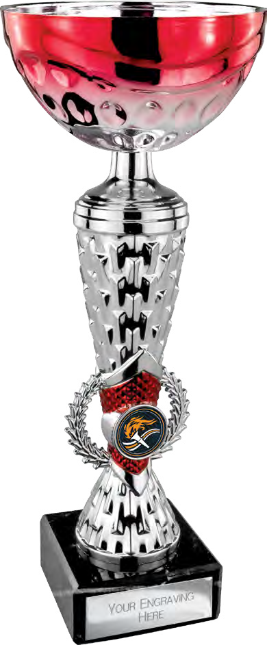 Award product – catalogue page 476