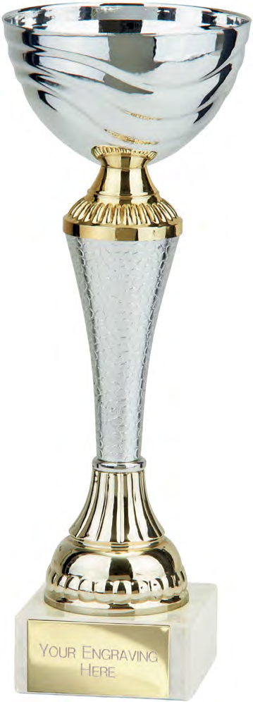 Award product – catalogue page 478