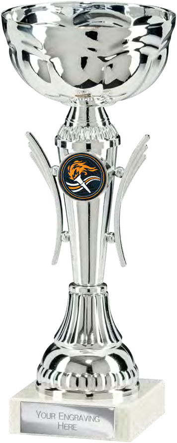 Award product – catalogue page 478