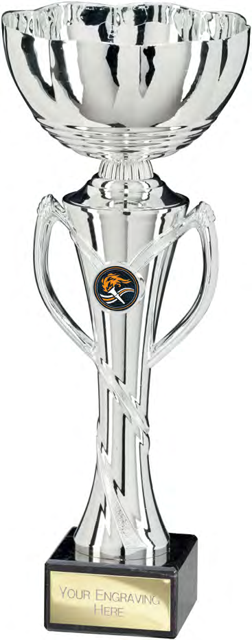 Award product – catalogue page 478