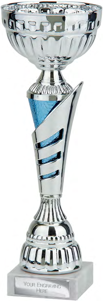 Award product – catalogue page 479