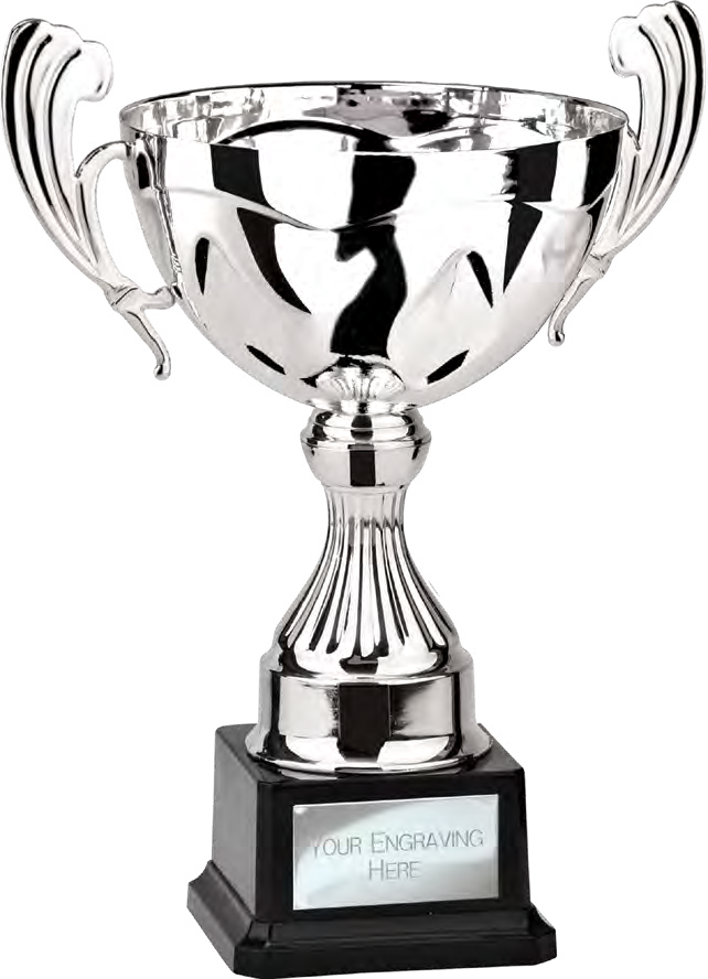 Award product – catalogue page 480