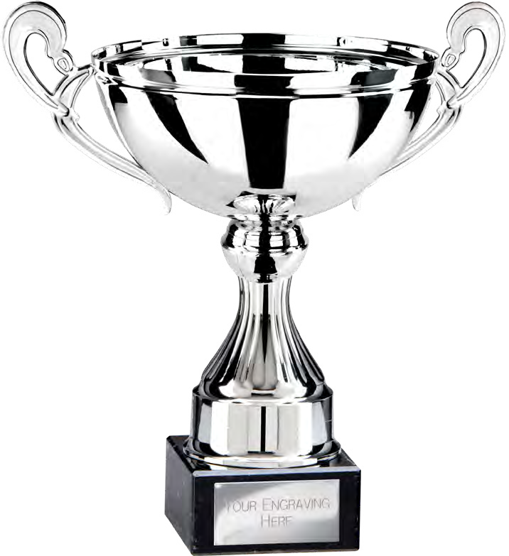 Award product – catalogue page 480