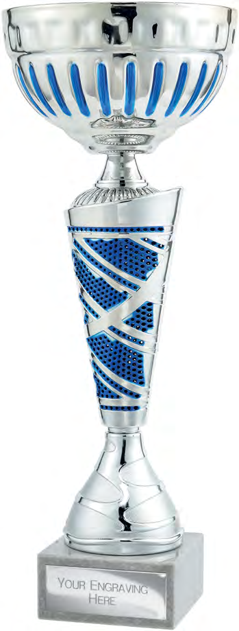 Award product – catalogue page 481