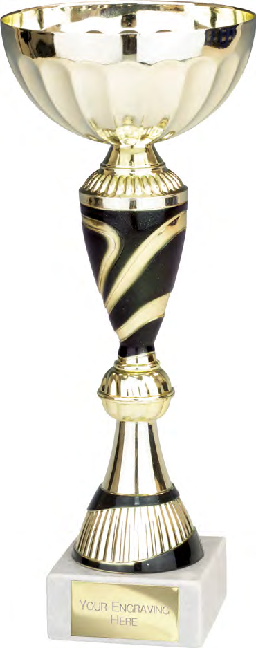 Award product – catalogue page 481