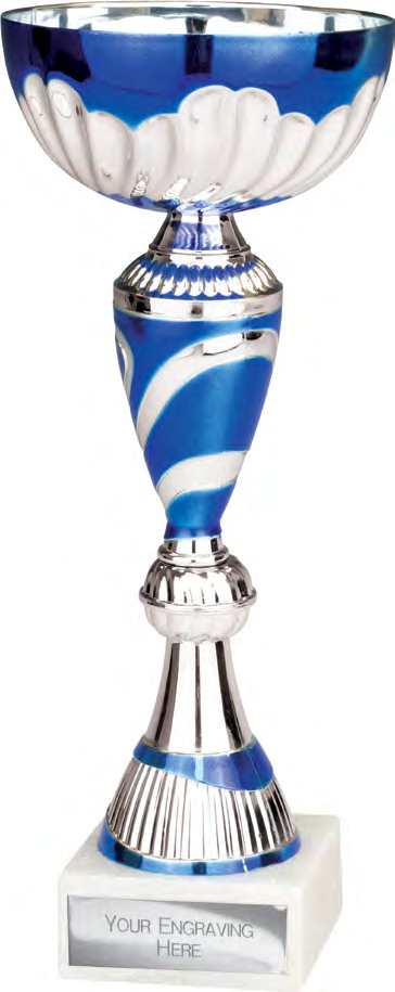Award product – catalogue page 481