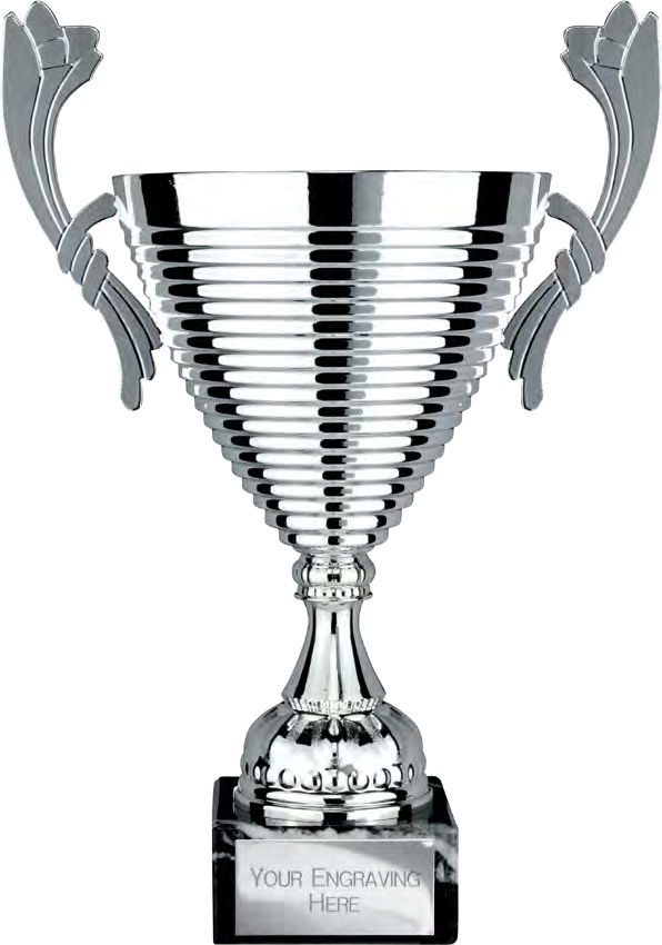 Award product – catalogue page 491