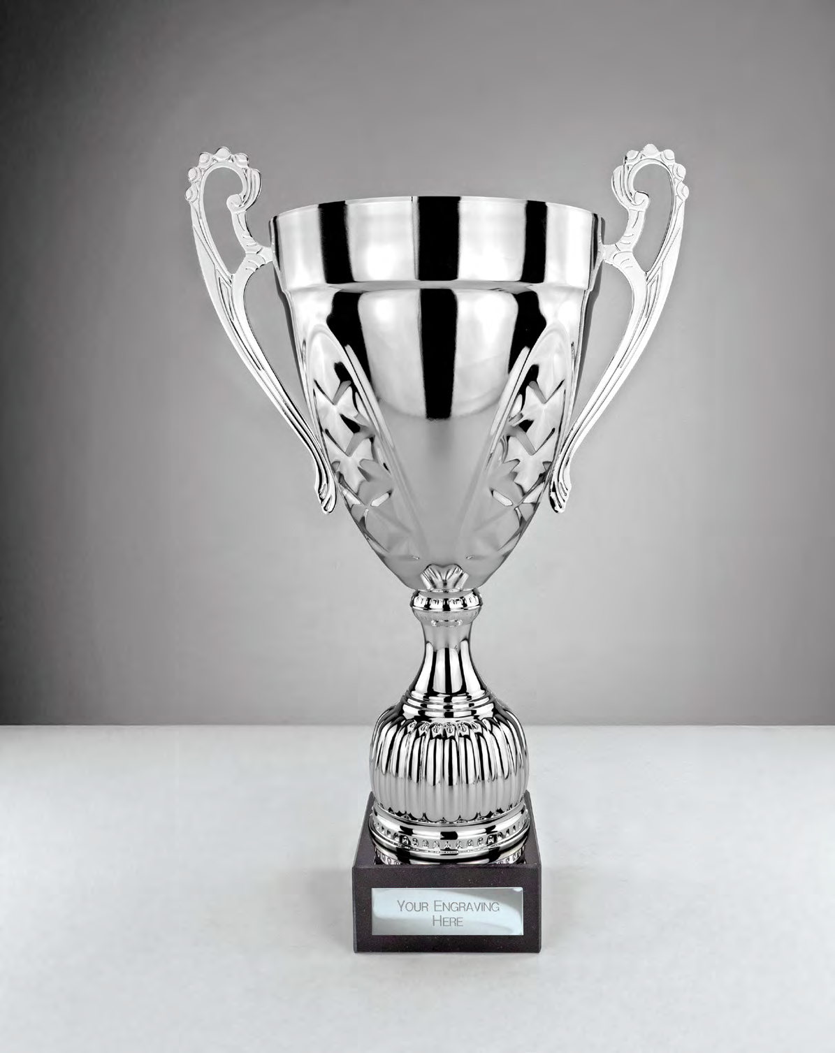 Award product – catalogue page 493
