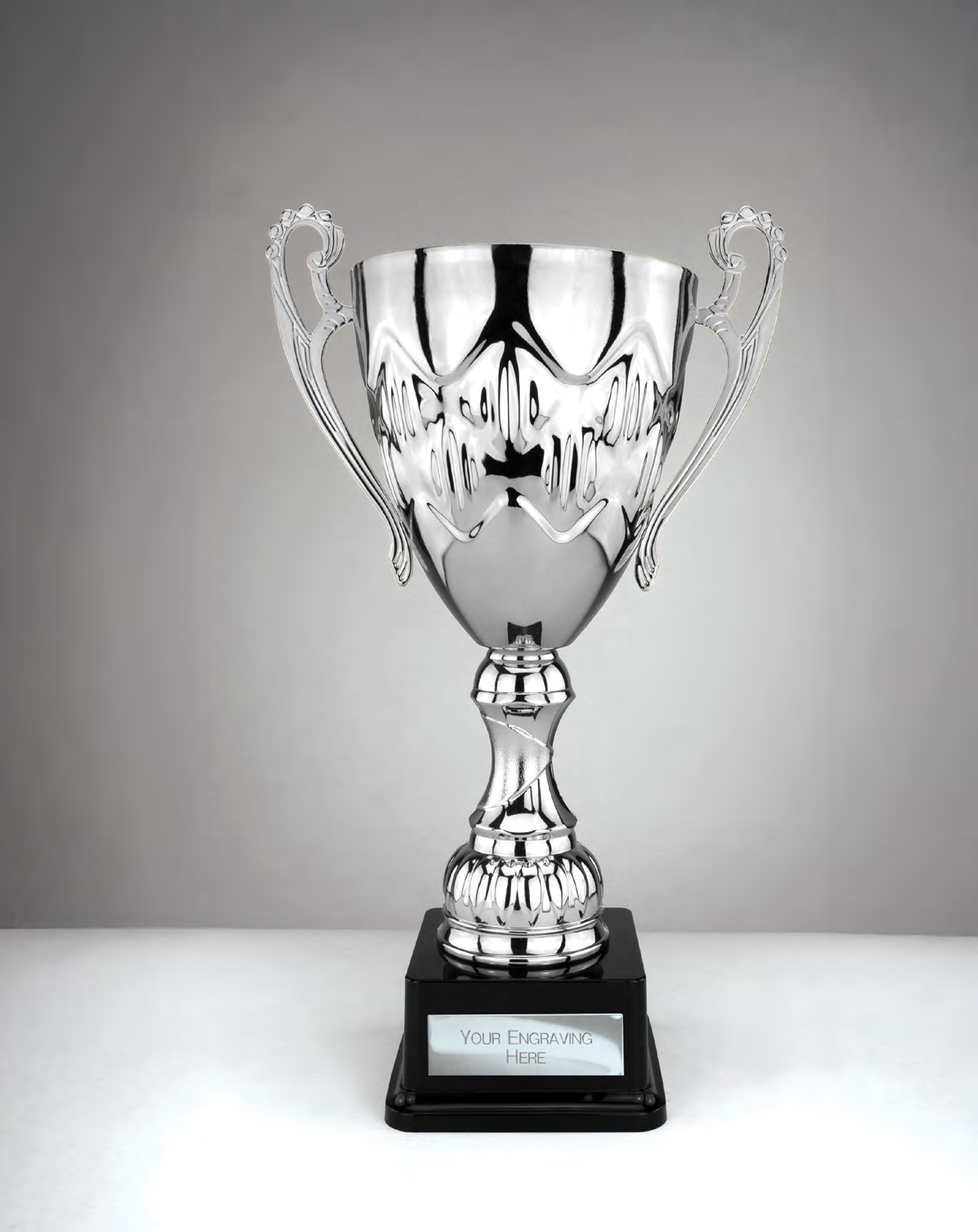 Award product – catalogue page 495