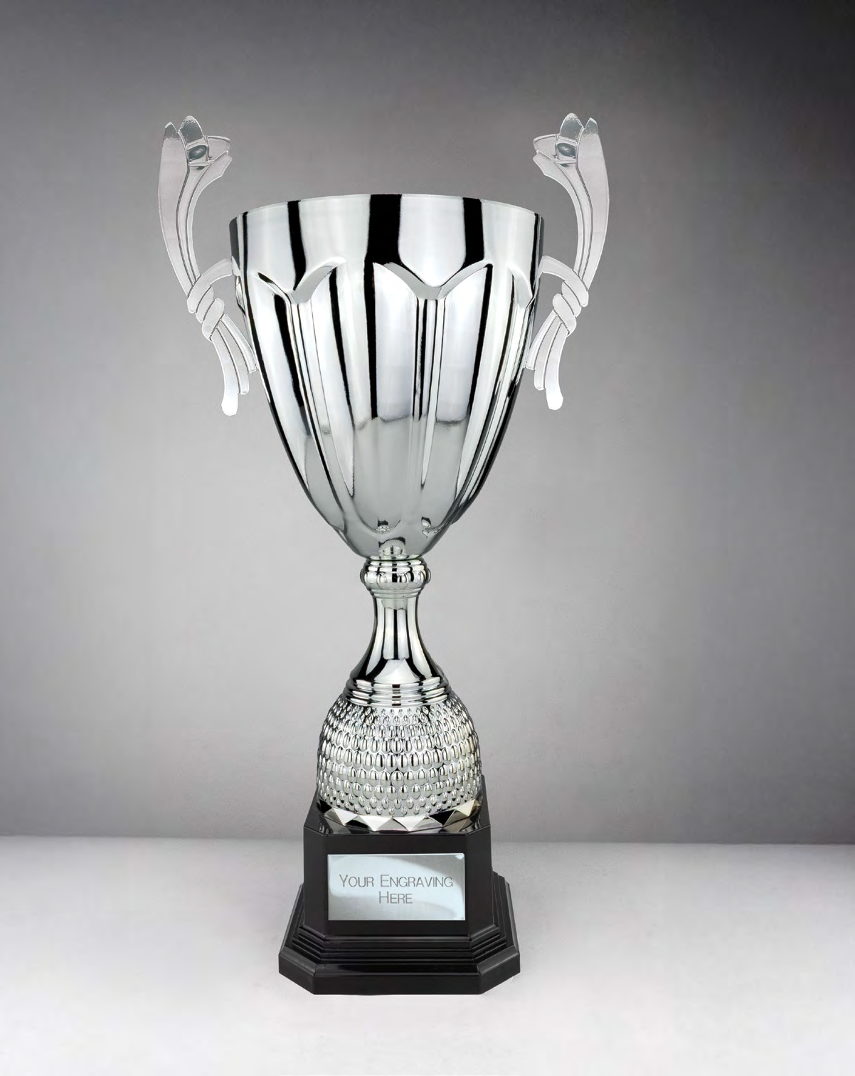 Award product – catalogue page 496