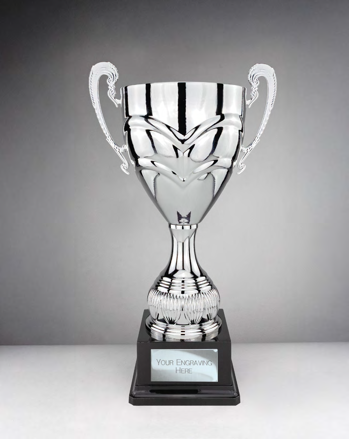 Award product – catalogue page 497