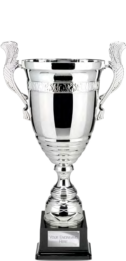 Award product – catalogue page 498