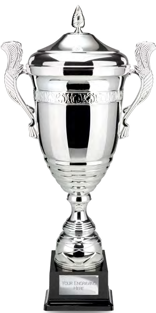 Award product – catalogue page 498