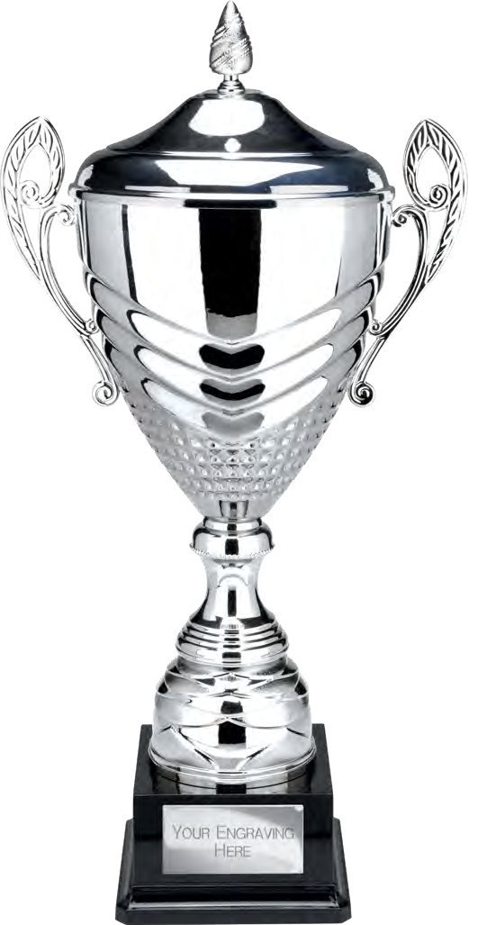 Award product – catalogue page 499