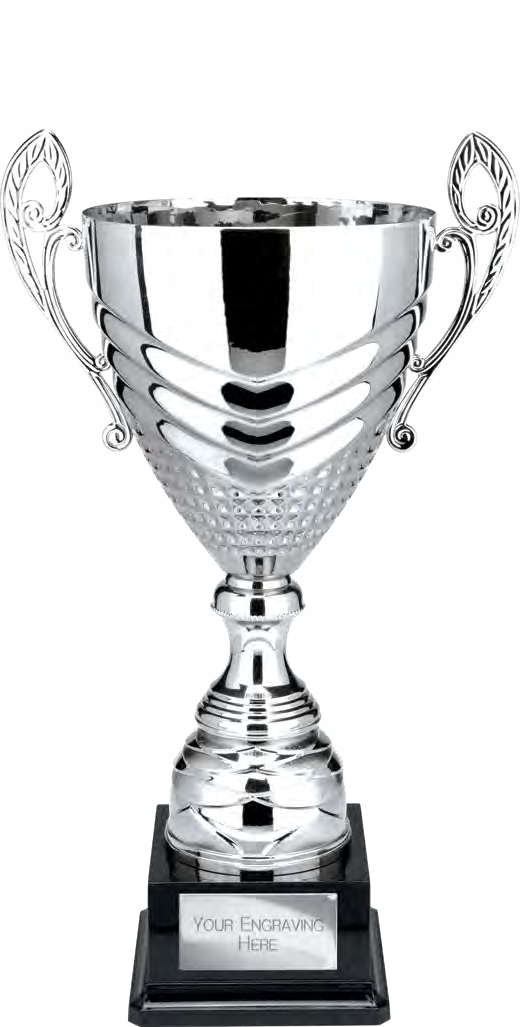Award product – catalogue page 499