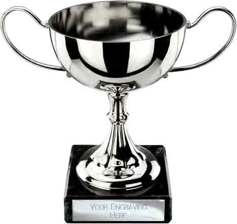 Award product – catalogue page 500
