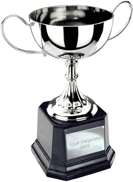 Award product – catalogue page 500
