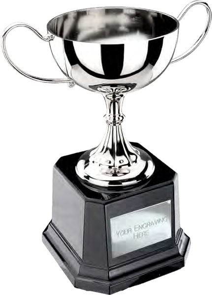 Award product – catalogue page 500