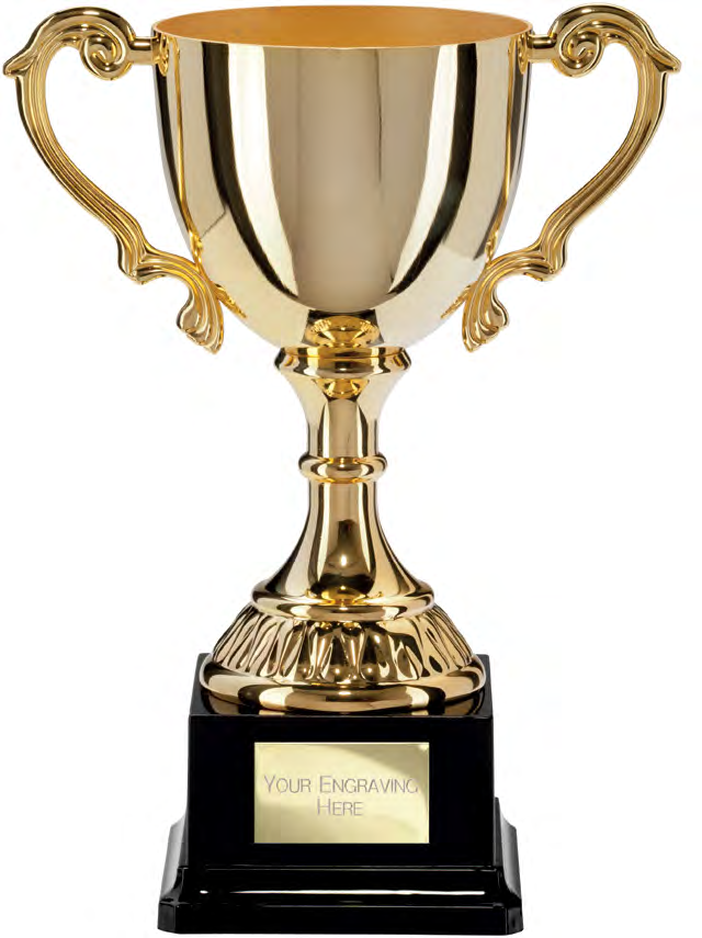 Award product – catalogue page 502