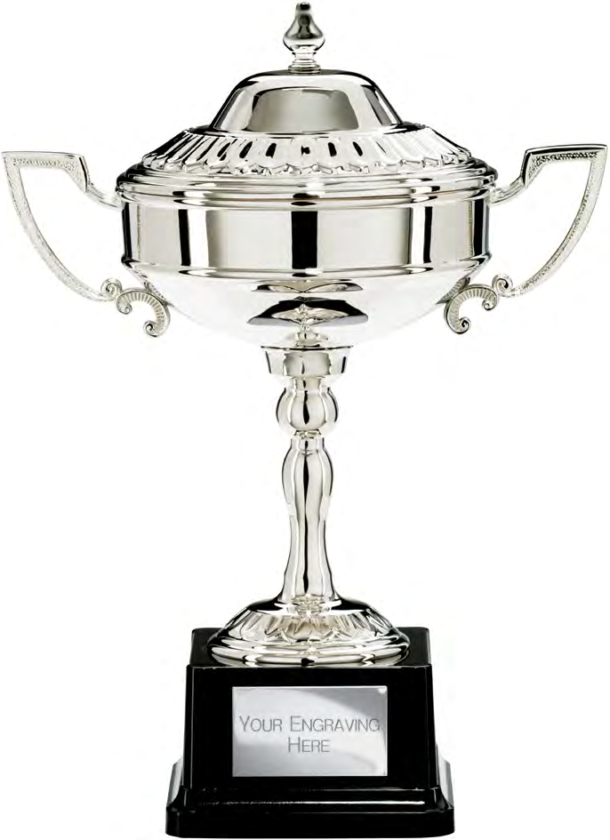 Award product – catalogue page 505