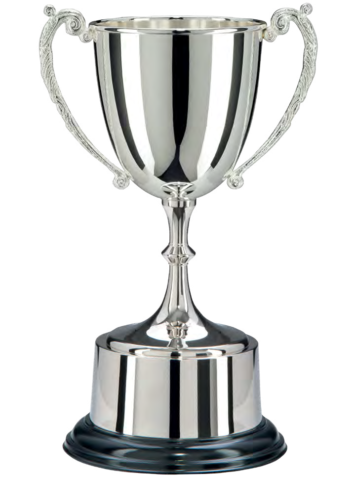 Award product – catalogue page 507