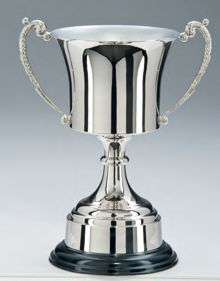 Award product – catalogue page 507