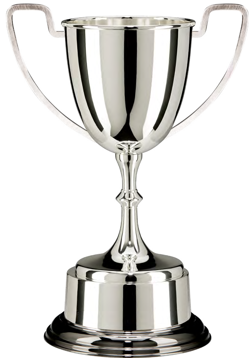 Award product – catalogue page 509