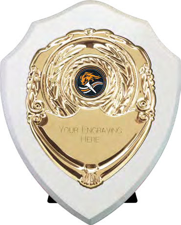 Award product – catalogue page 512