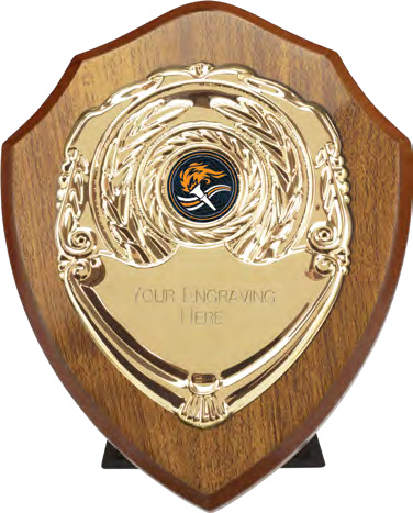 Award product – catalogue page 512