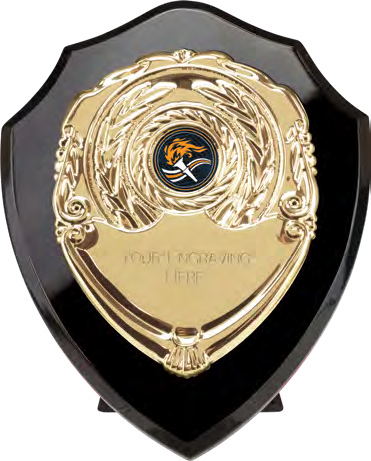 Award product – catalogue page 512