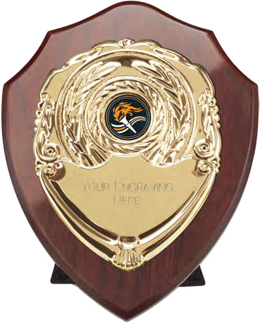 Award product – catalogue page 512