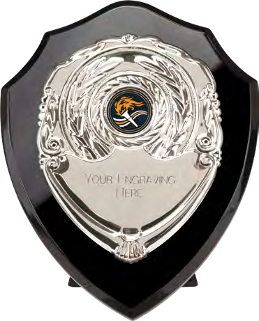Award product – catalogue page 513
