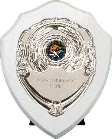 Award product – catalogue page 513