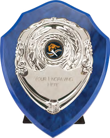 Award product – catalogue page 513