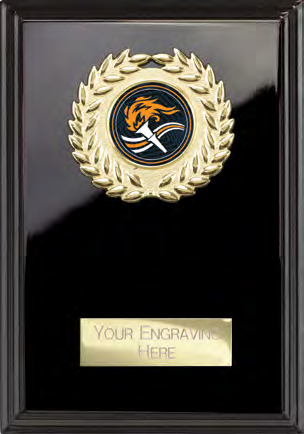 Award product – catalogue page 514