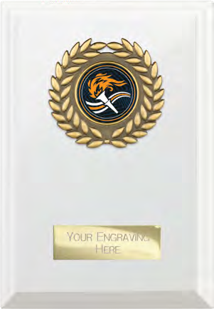 Award product – catalogue page 515