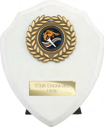 Award product – catalogue page 515