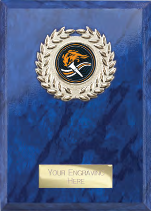 Award product – catalogue page 516