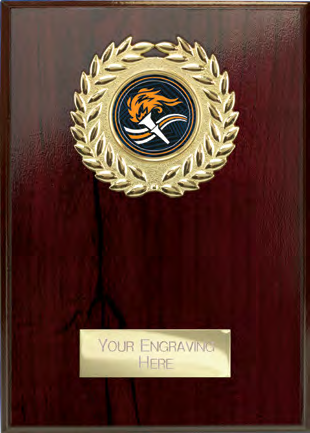 Award product – catalogue page 517