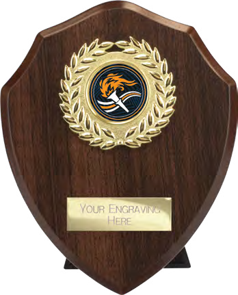 Award product – catalogue page 517