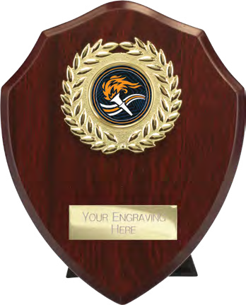 Award product – catalogue page 517