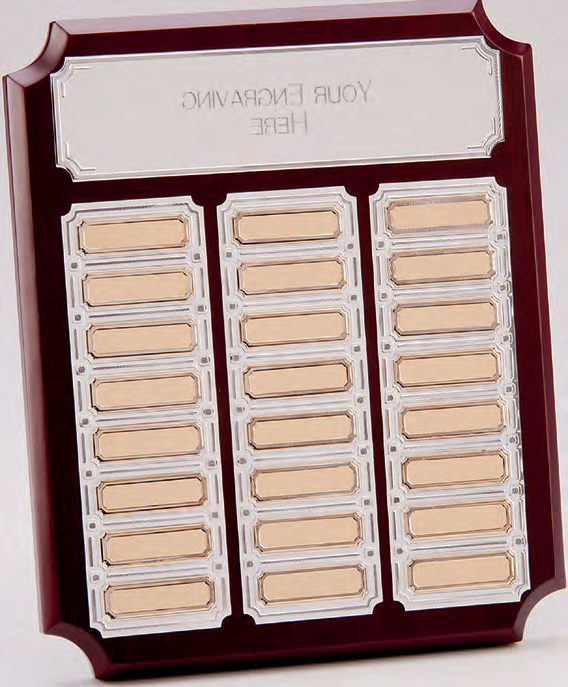 Award product – catalogue page 527