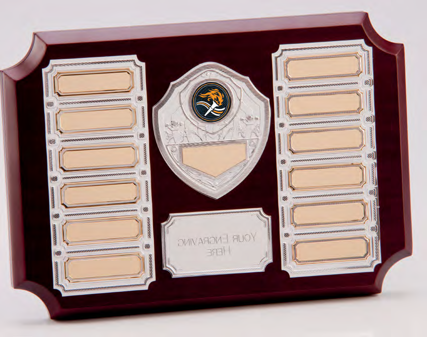 Award product – catalogue page 527