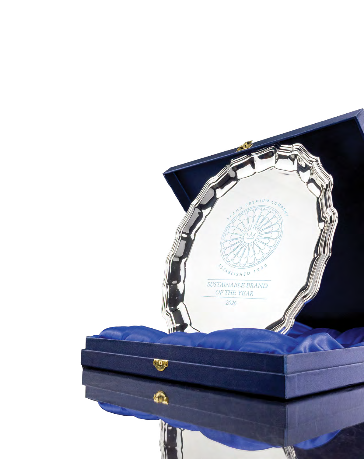 Silver presentation plaque in a blue case